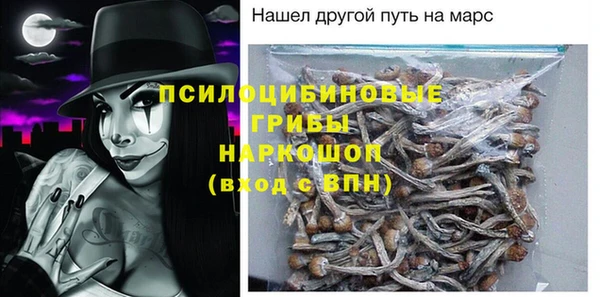 амф Зеленокумск