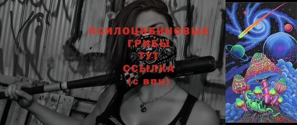 дживик Кулебаки