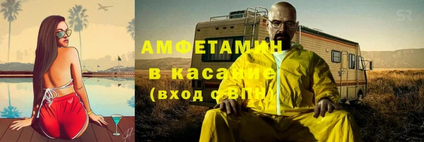 сатива Кукмор