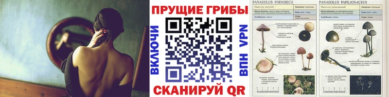 Галлюциногенные грибы прущие грибы  это как зайти  Калач 